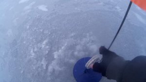 ОГРОМНАЯ ЩУКА. РЫБАЛКА НА ЖЕРЛИЦЫ. ЗИМНЯЯ РЫБАЛКА.