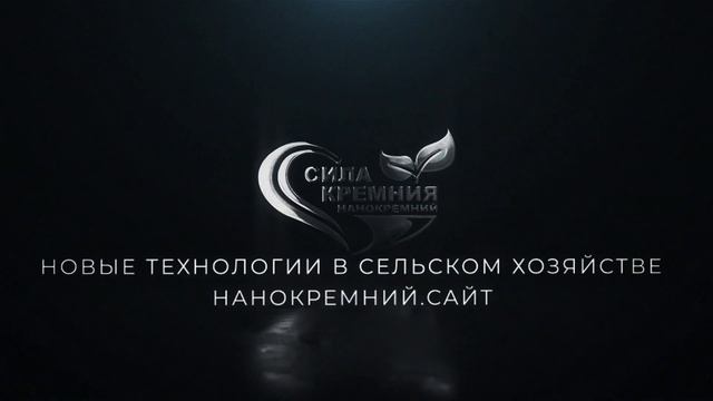 "СИЛА КРЕМНИЯ" - БРЕНД №1 СРЕДИ КРЕМНИЕВЫХ УДОБРЕНИЙ. смотреть онлайн