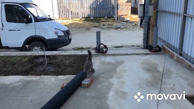 Пора сажать огурцы смотреть онлайн