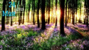 24 МАЯ 2023 ЧТО НЕЛЬЗЯ ДЕЛАТЬ,НАРОДНЫЕ ПРИМЕТЫ,ЧТО МОЖНО ДЕЛАТЬ