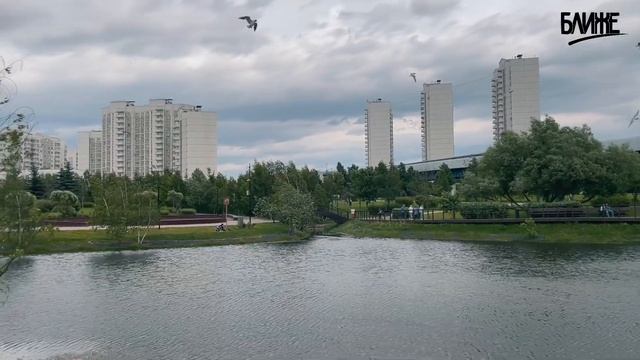 МОСКВА - как в ней живут и почему уезжают? #москва #москвичи смотреть онлайн