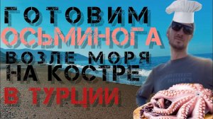 Как приготовить осьминога пойманного на средиземном море_