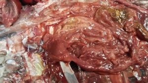 Потроха карпа. Не поняла, что из них можно есть, кроме икры.