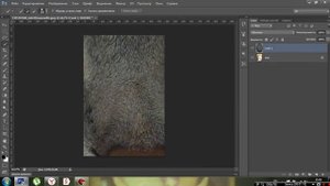 Как сделать кота в костюме в Photoshop CS6 x64