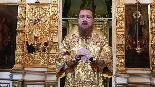 "Можно ли верить снам и видениям?" Епископ Веневский Феодорит смотреть онлайн