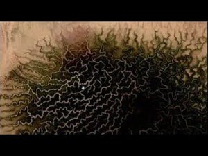 Все самое странное в Мали