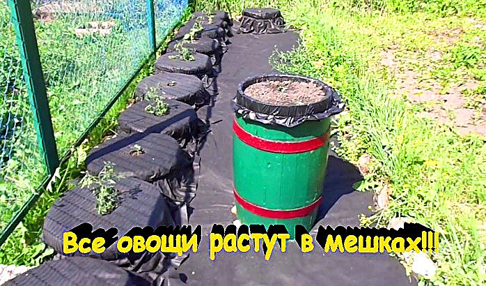 "Овощи"#Огород #Сад #Дача