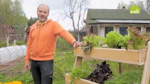Удобные грядки. Самодельная многоярусная переносная грядка