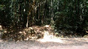 Дорога в джунглях Фукуока, Вьетнам