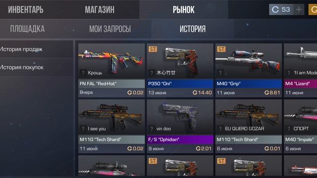 vidma_recorder_16062023_095841.mp4