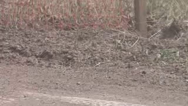 100726 Мотокросс смотреть онлайн