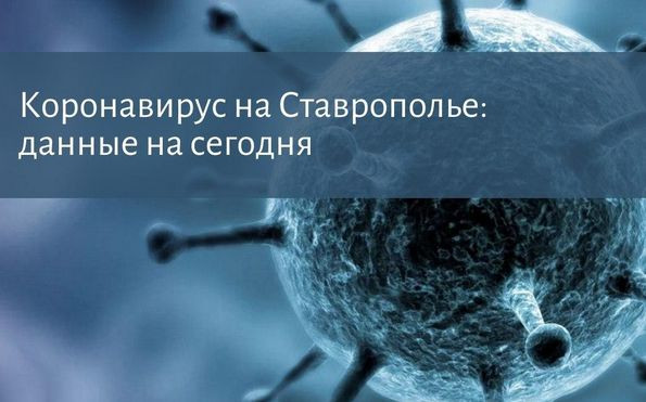 Коронавирус на Ставрополье: несколько дней без летальных исходов