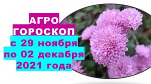 Агрогороскоп с 29 ноября по 02 декабря 2021 года