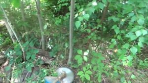 Триммер - убийца деревьев.