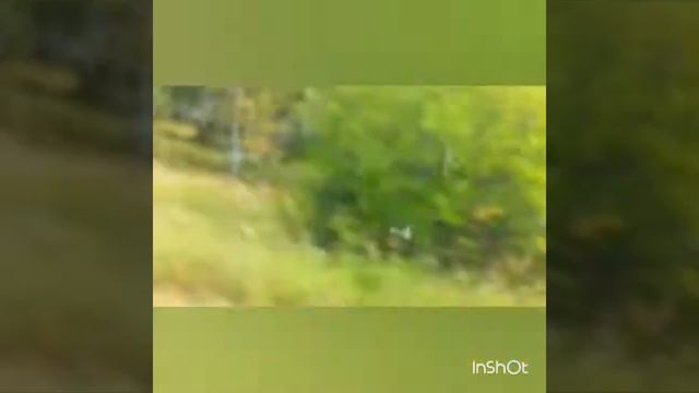 " Деревенька моя ...", красота родного уральского края , где прошло наше детство ,юность , молодост смотреть онлайн