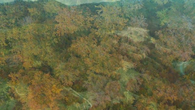 Спасая подбитого ворона, несчастная девушка даже не знала, каким сокровищем он отплатит смотреть онлайн