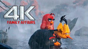 Angry Birds「4K」  Family Affairs edit