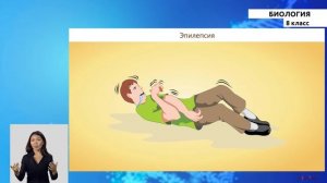 8 класс - РУ - Биология - №6 - Вегетативная нервная система