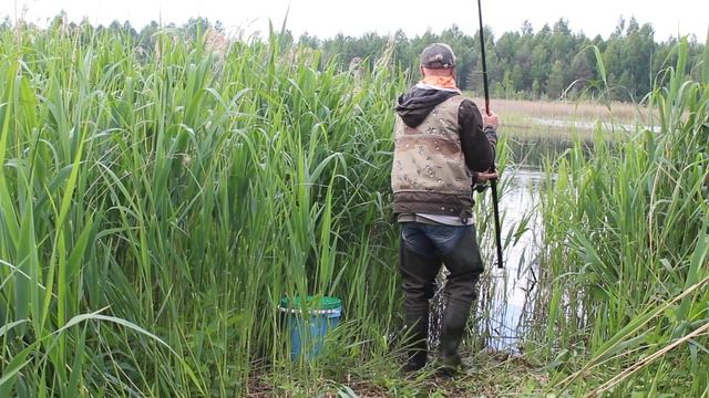 Щука на поплавок. Я все же ее дождался.  Трудовая рыбалка.