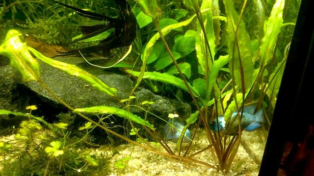 Разборки у Наннакар смотреть онлайн