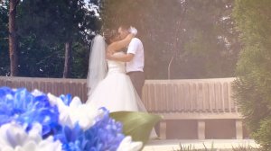 Свадебный клип - Дмитрий и Дарья - 6 августа 2016