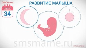 34 неделя беременности - тренировочные схватки, схватки по Брэкстону Хиксу