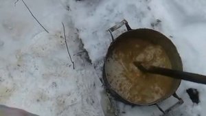 Тайга кормление лаек.
