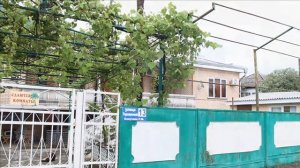 Абхазия  Гагра  Где снять жильё  1ая линия.