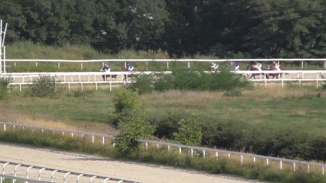 2.09.2018 - 10 Скачка на лошадях 2-х лет чистокровной верховой породы - Исидар смотреть онлайн