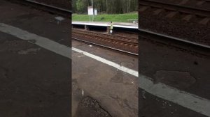 "Благоустройство" РЖД "Радонеж" Ярославское направление, 12 мая 2021 года 16 часов.