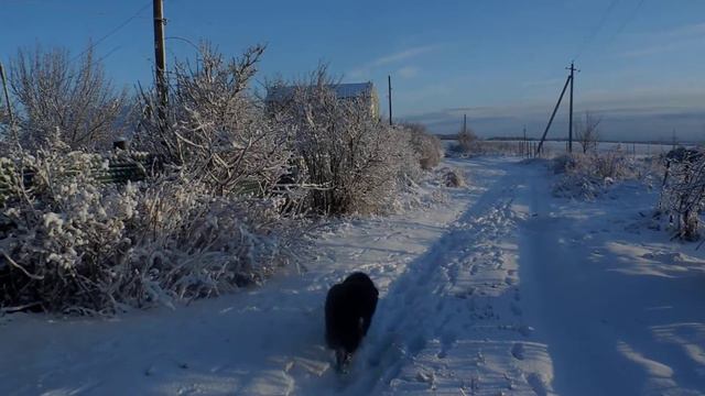 Зима 2020 смотреть онлайн