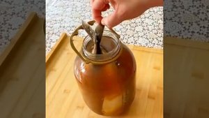 Домашняя малосольная скумбрия
