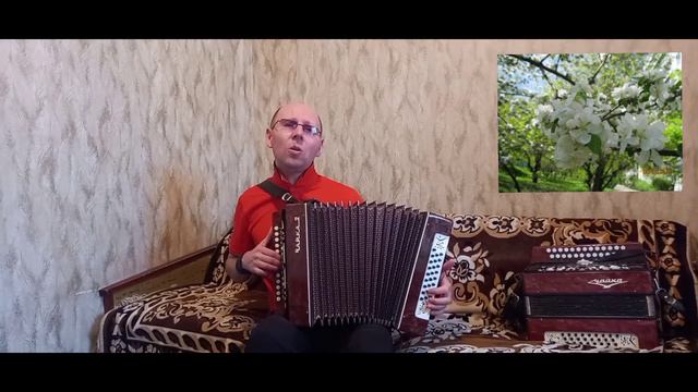 "Расцвела под окошком белоснежная вишня".(Слова - В.Бурыгин,музыка - М.Чумаков).Кавер-версия.Гармон смотреть онлайн