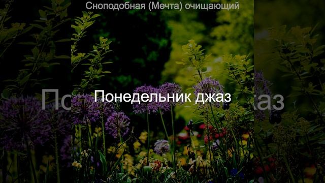 Сцинтилляционные - Момент дача
