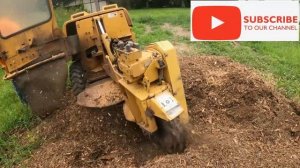 Removal of a Large Pine Stump With Rayco Rg50 Stump Grinder