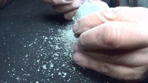 Препарация трилобита