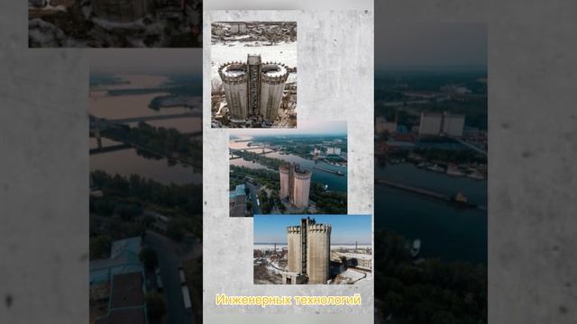 Спецпроект от Волонтёров Культуры «Он же памятник» | ВолоМедиа