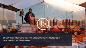 В Солнечногорске на Советской площади развернулась широкая ярмарка