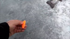 Праздничный клёв продолжается. Клёвое место, Нижний пруд.