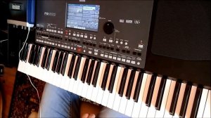 Игорь Слуцкий - Туда На синтезаторе Korg pa600