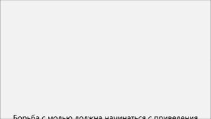 Как избавиться от моли в квартире