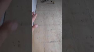 СТЕЛИМ ПОЛЫ ФАНЕРОЙ НА СТАРЫЙ ПОЛ