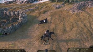 Играя в #Mount and Blade 2 Bannerlord с модом Realistic Battle Mod наткнулся на приятные плюшки.