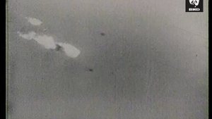 Крылья 28.12.2001