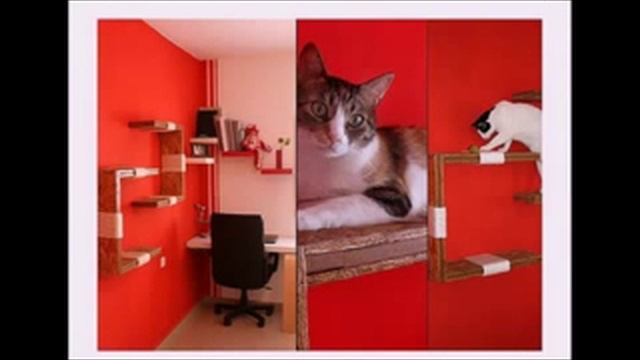 Как сделать ПОЛКИ ДЛЯ КОШКИ на балконе смотреть онлайн