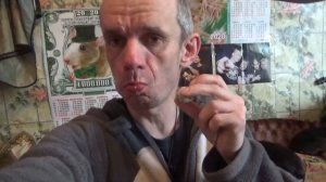 перепелиные яйца