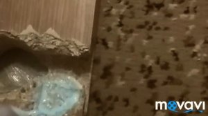 Реставрация межкомнатной двери