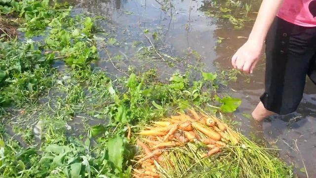 после тайфуна дача подруга Ольга,я снимаю смотреть онлайн