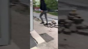 Х/ф «Лось» (2019)