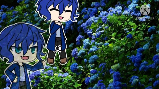 •|клип „Жертвоприношение Алисы”|• смотреть онлайн